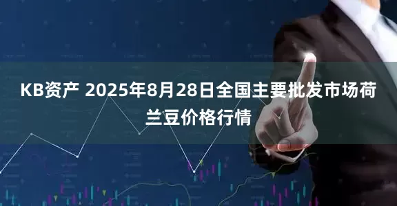 KB资产 2025年8月28日全国主要批发市场荷兰豆价格行情