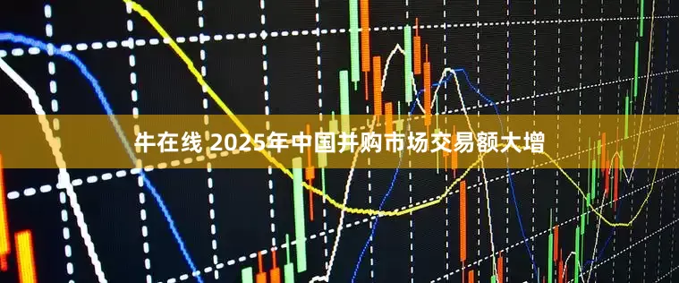 牛在线 2025年中国并购市场交易额大增