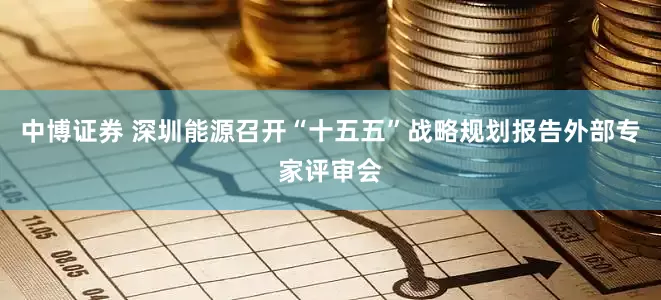 中博证券 深圳能源召开“十五五”战略规划报告外部专家评审会
